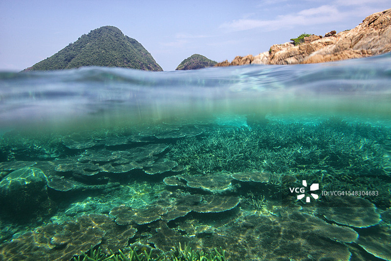 马来西亚，Tioman岛，珊瑚礁图片素材