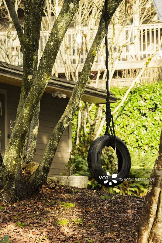 加拿大大温哥华的轮胎秋千图片素材