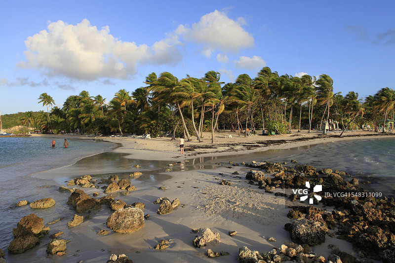 加勒比海瓜德罗普岛圣安妮海滩附近风光图片素材