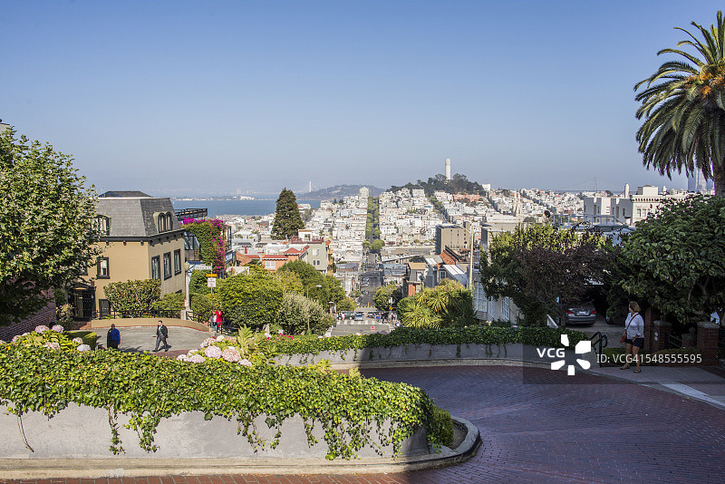 美国加利福尼亚州旧金山九曲花街的蜿蜒道路景观图片素材