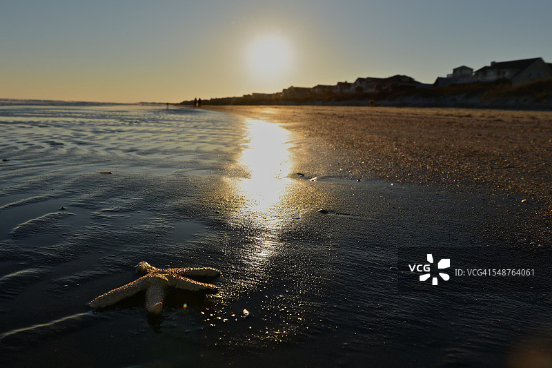 日落时的海星图片素材