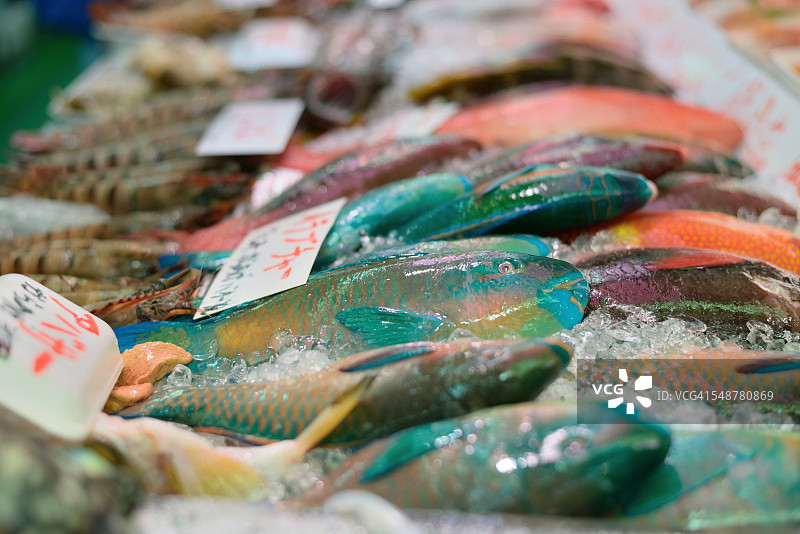 新鲜的鱼图片素材