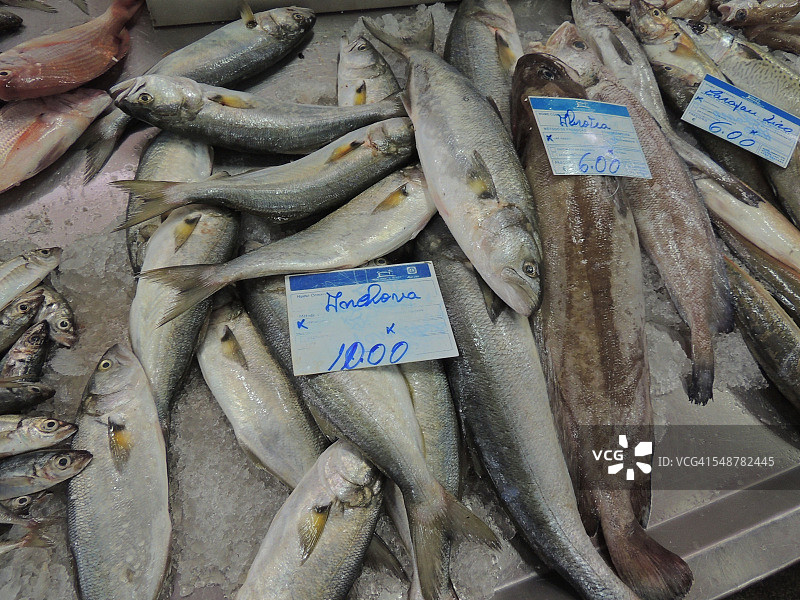 新鲜的鱼图片素材