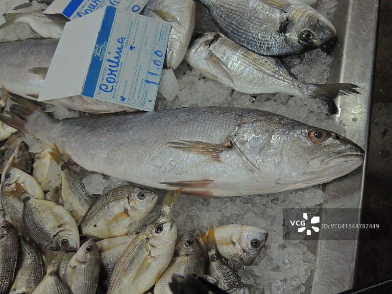 新鲜的鱼图片素材