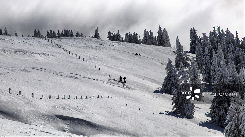 冬季雾海边界图片素材