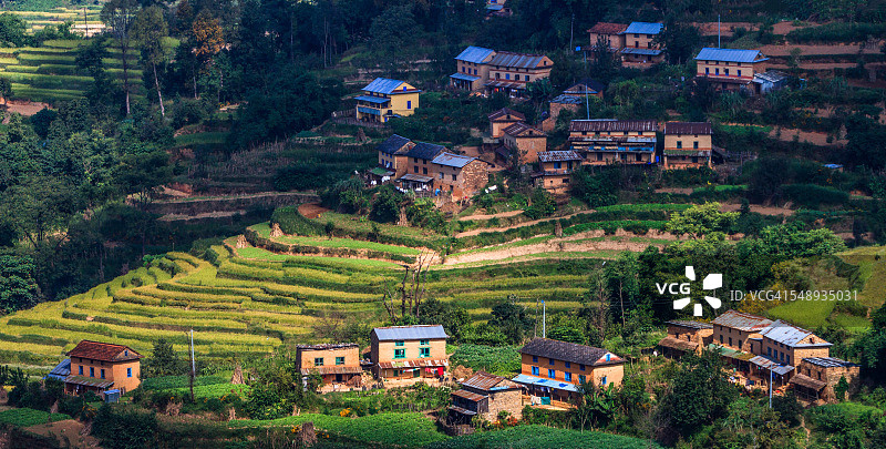 尼泊尔纳加阔特梯田旁的村庄房屋图片素材