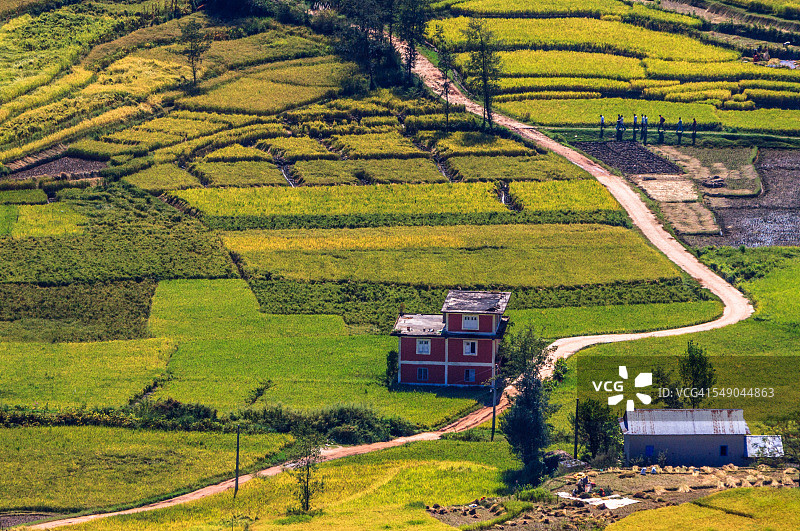 乡村风景，加德满都谷地，尼泊尔图片素材