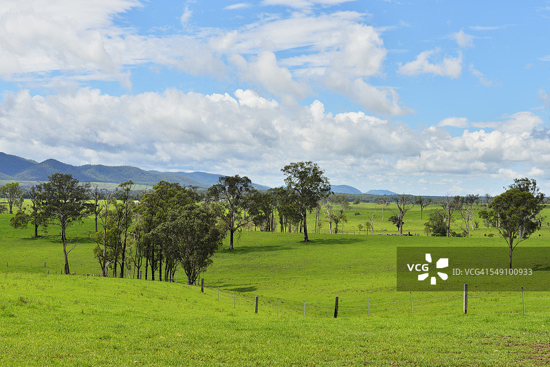 夏季乡村风光图片素材