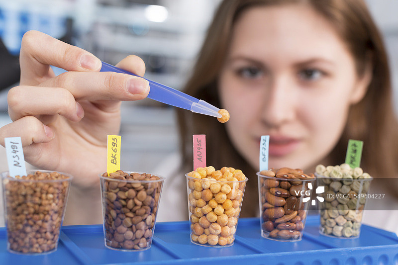 学生在实验室检测食物图片素材