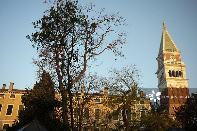 圣马可钟楼图片素材