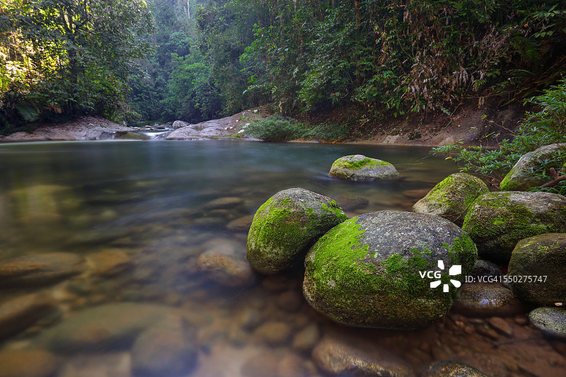 淡绿色图片素材
