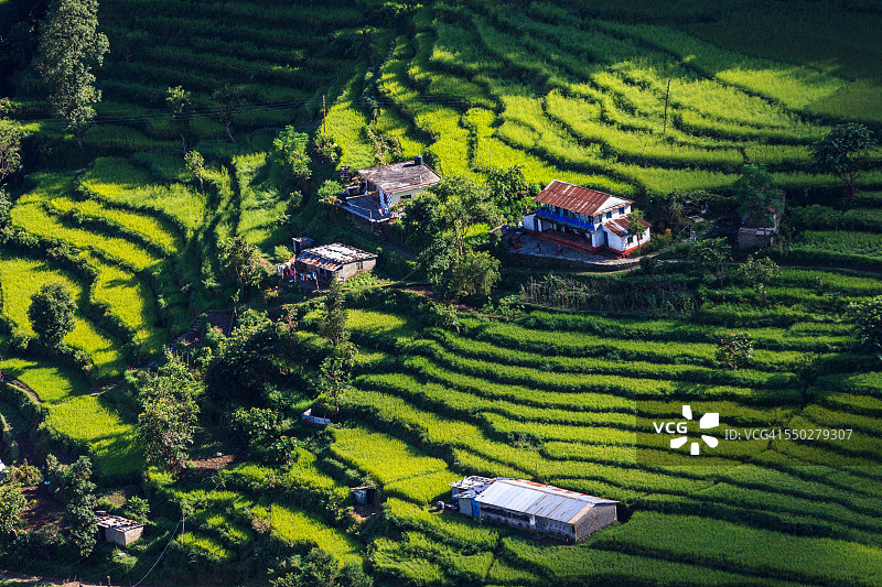 安娜普尔纳环线，尼泊尔，博斯萨哈图片素材