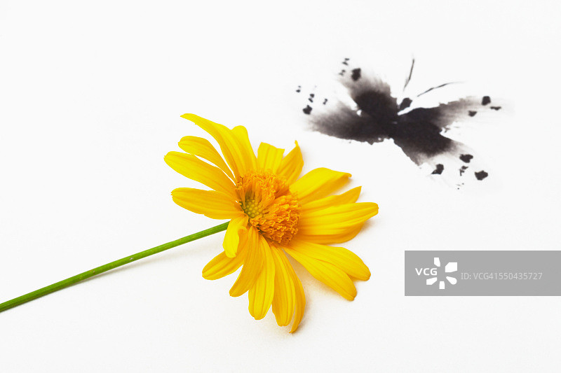 合并后的媒介图片素材