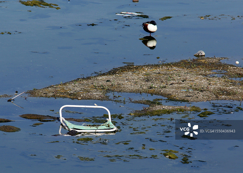 被污染的水域图片素材