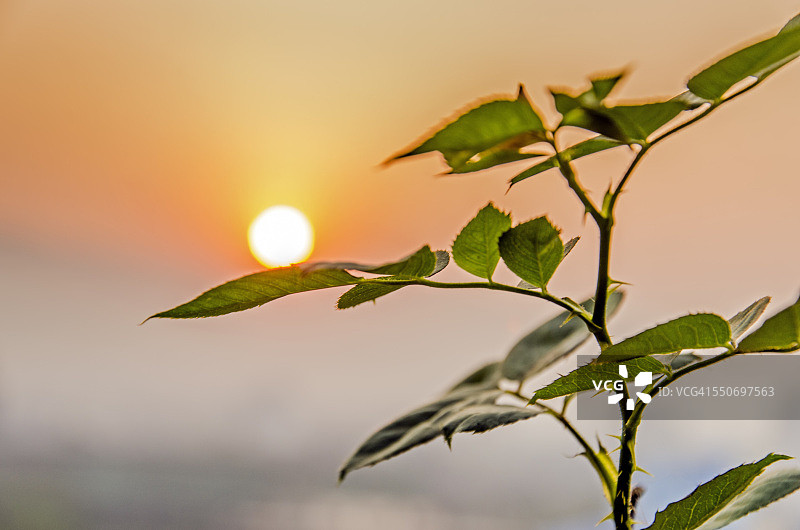 美丽的自然风光图片素材