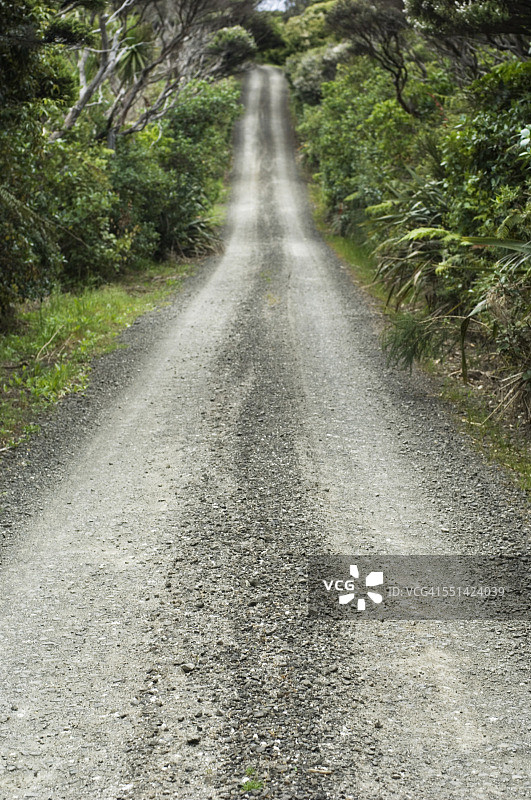 乡间小路图片素材