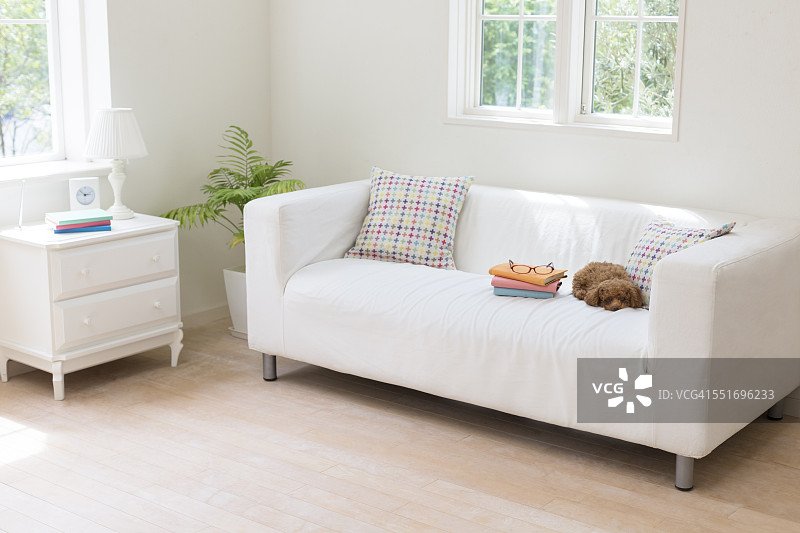 贵宾犬玩具与沙发上的书堆图片素材