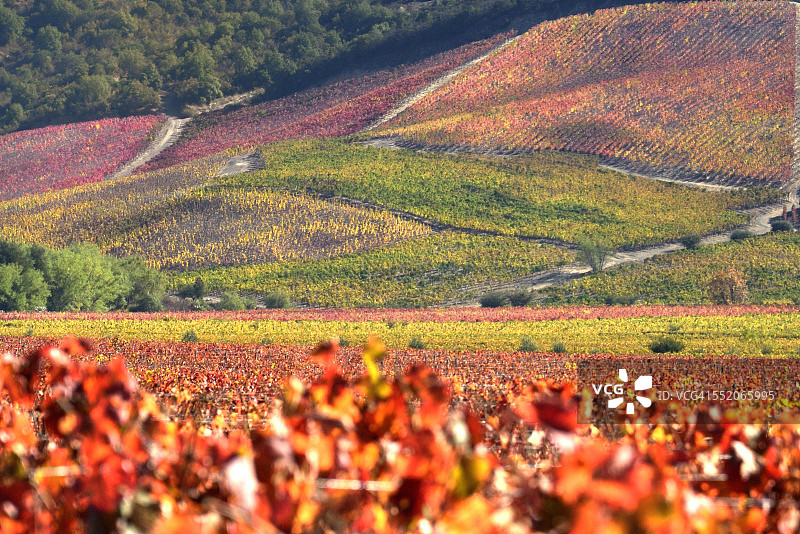 科尔查瓜山谷图片素材
