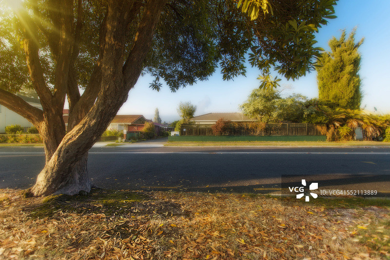 乡间小路图片素材