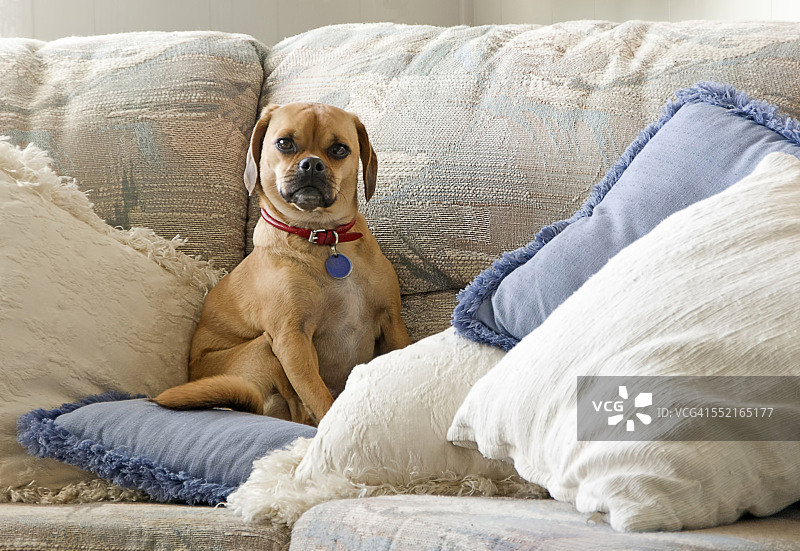 请再给我一个枕头图片素材