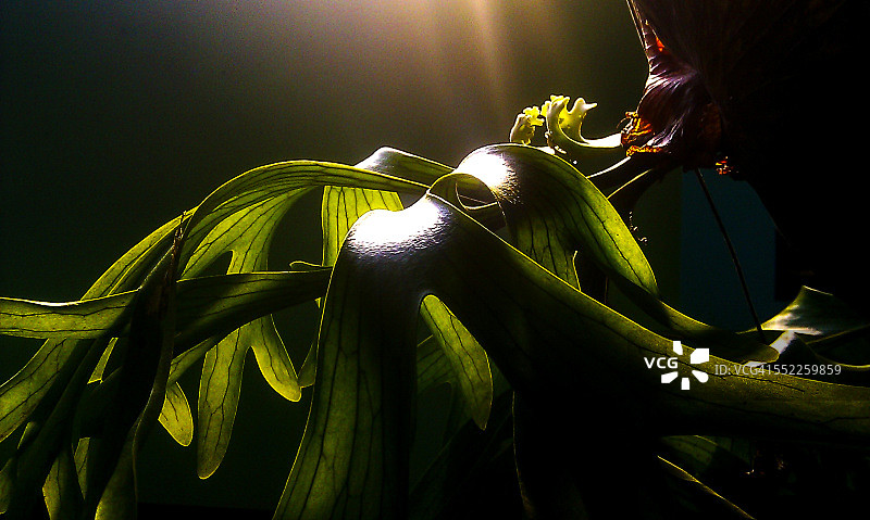 新的开始图片素材