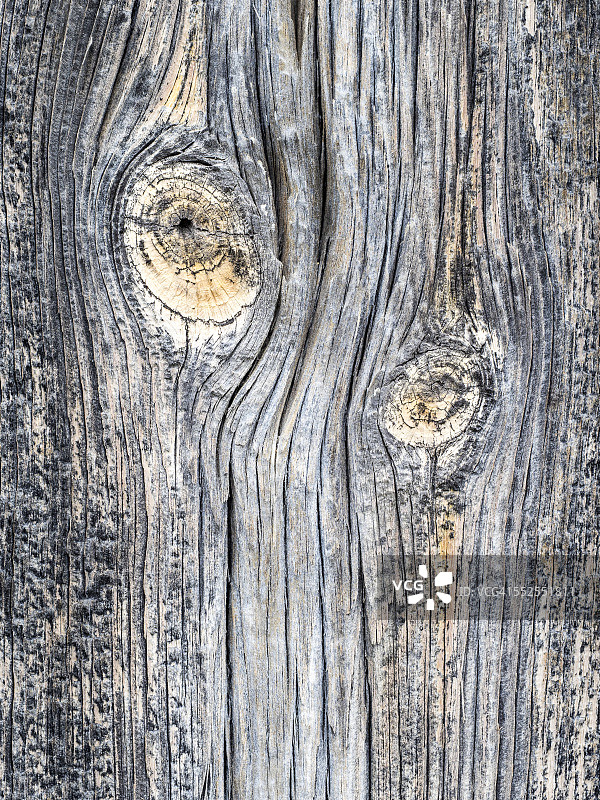 旧木头的纹理和图案图片素材