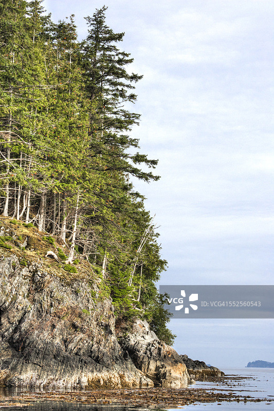 不列颠哥伦比亚省崎岖的海岸线图片素材