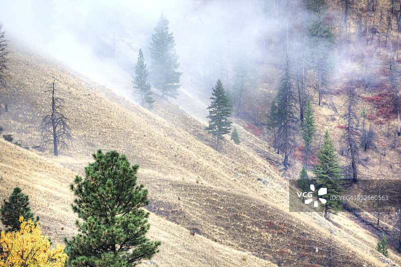 荒野中升腾的雾气图片素材