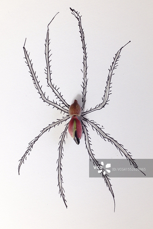 合并后的媒介图片素材