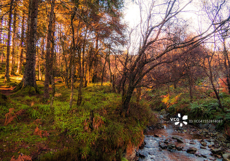 冬季的主教峡谷，科瓦尔，杜嫩图片素材