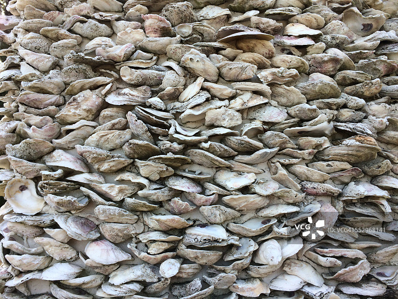 牡蛎壳墙图片素材