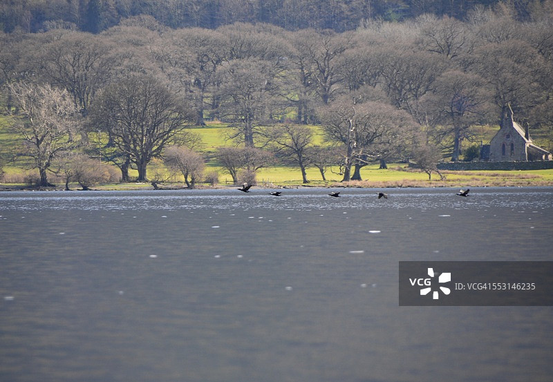低空飞行图片素材