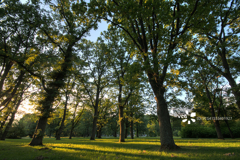 爱沙尼亚帕尔努公园日落图片素材