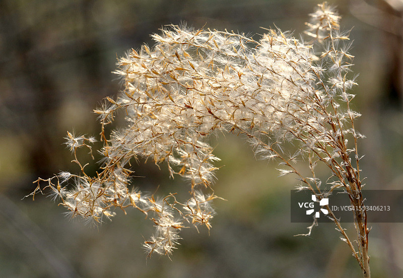 春季开始图片素材