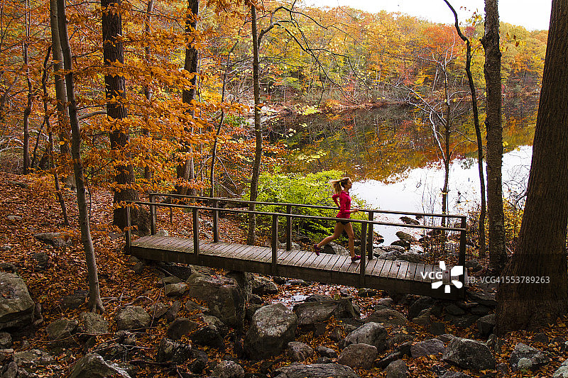 跑步者穿过秋色森林中的桥梁图片素材