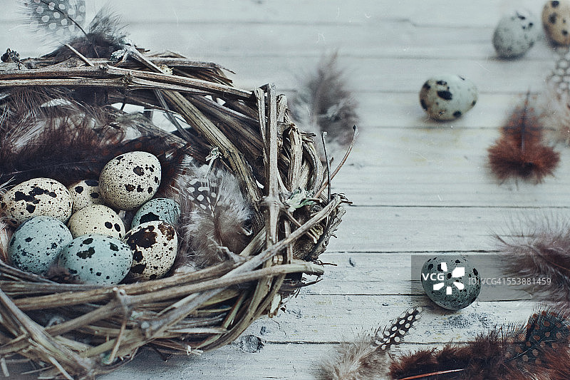 逃离巢穴图片素材