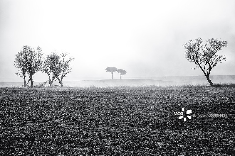 冬日清晨图片素材