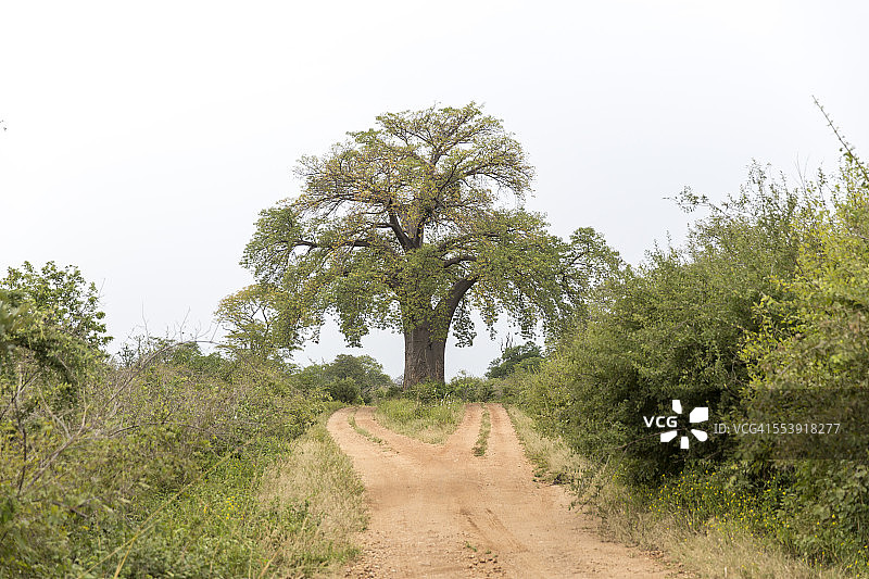 马纳潭国家公园图片素材