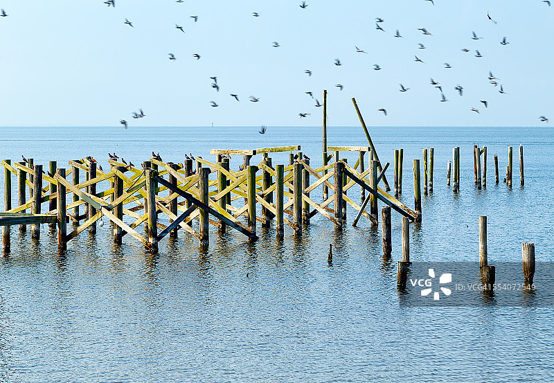 有鸟飞过的旧码头图片素材