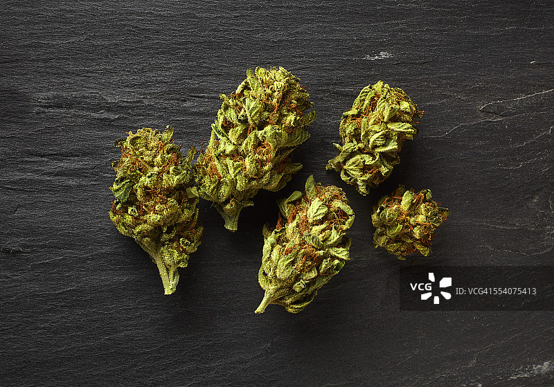 医用大麻图片素材