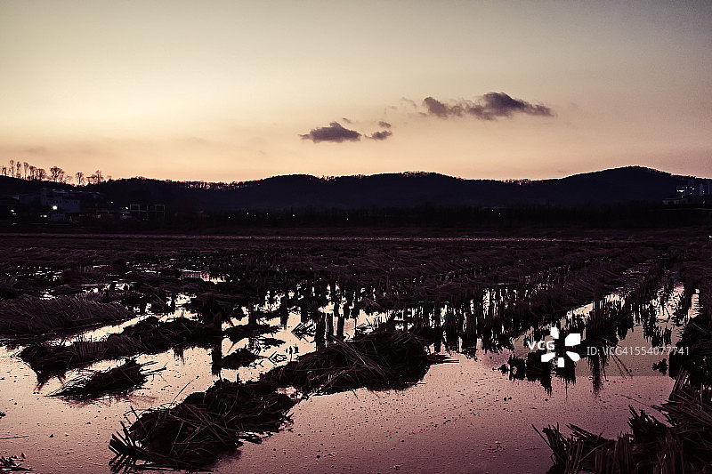 日落时分的田野图片素材