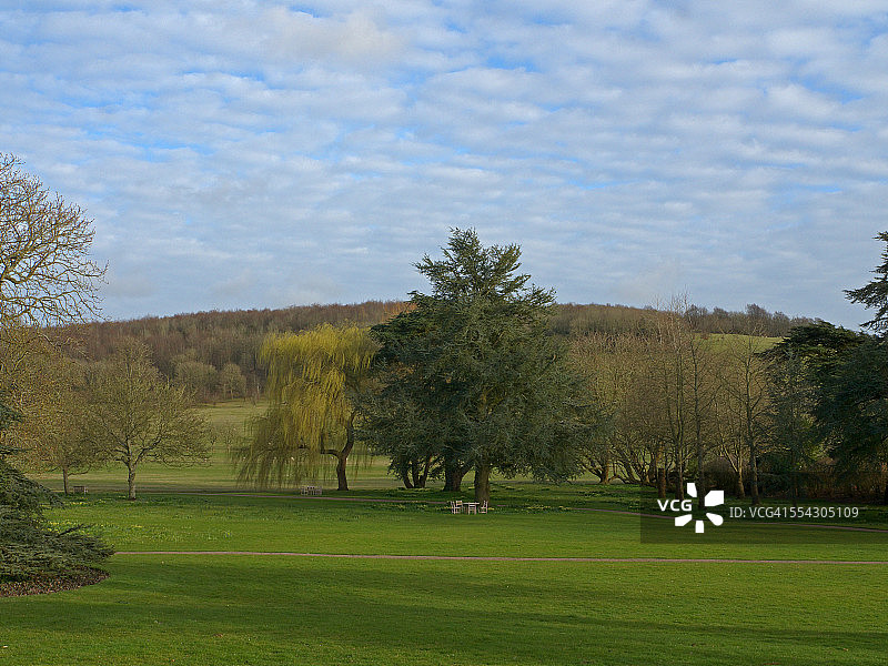 绿色的阴影图片素材