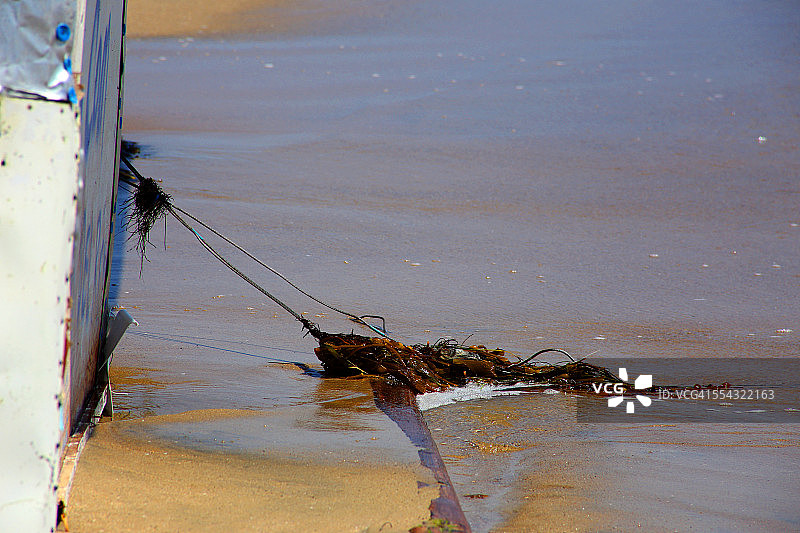 沉船上的海藻图片素材