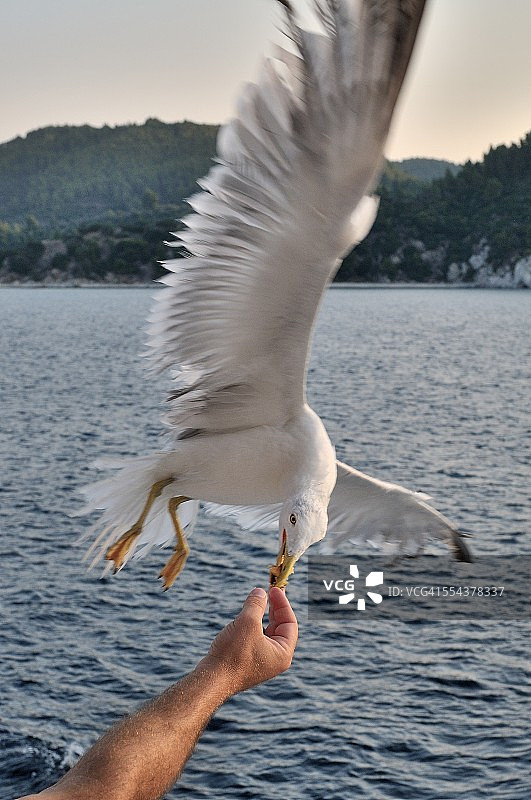 我明白了图片素材
