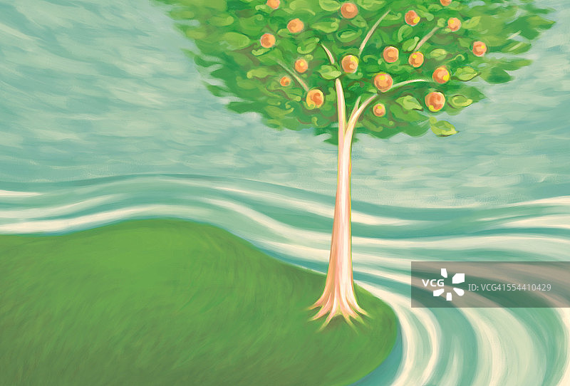 溪流边的树木图片素材