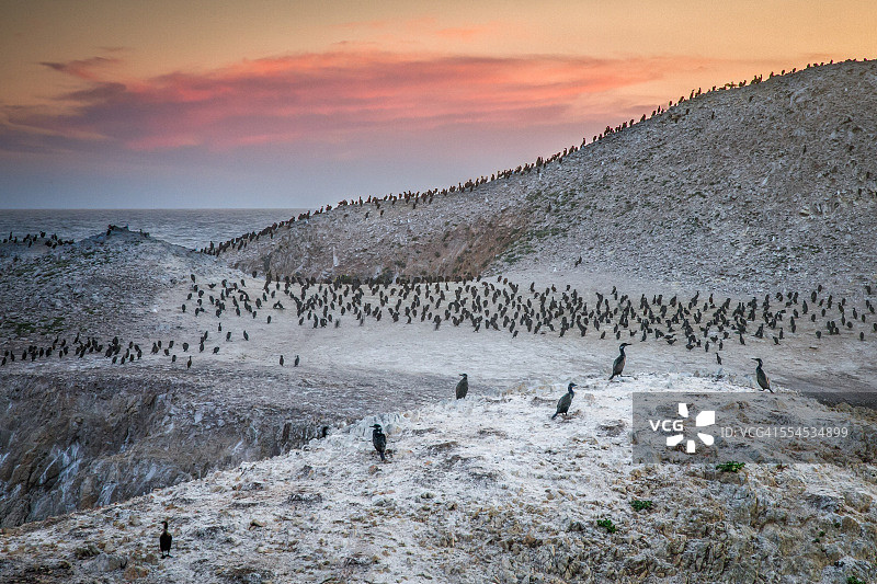 鸟岛洛博斯角图片素材