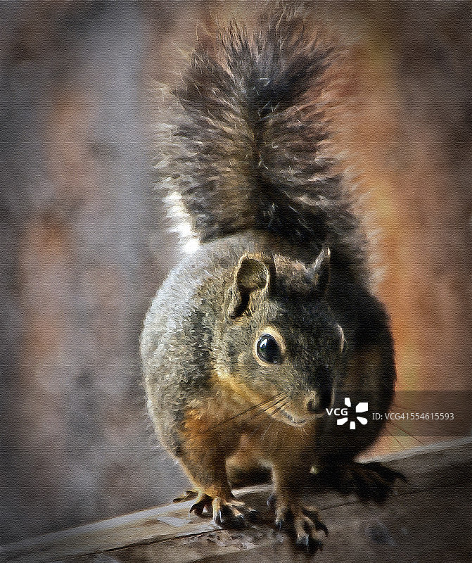 油画风格的松鼠图片素材