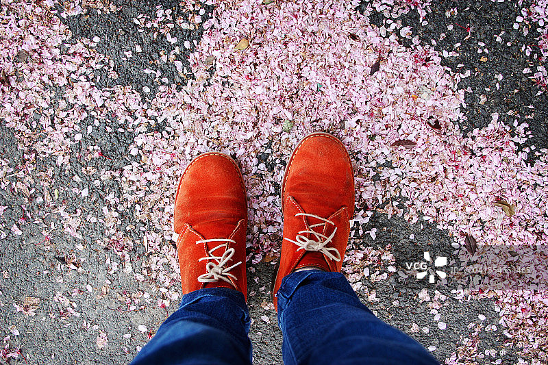 站在树上的腿部高空景观图片素材