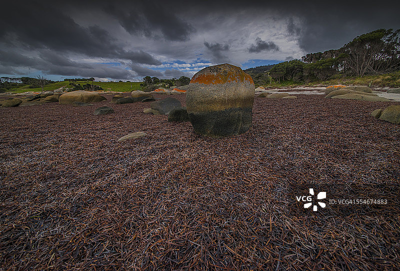 索耶斯湾落潮图片素材