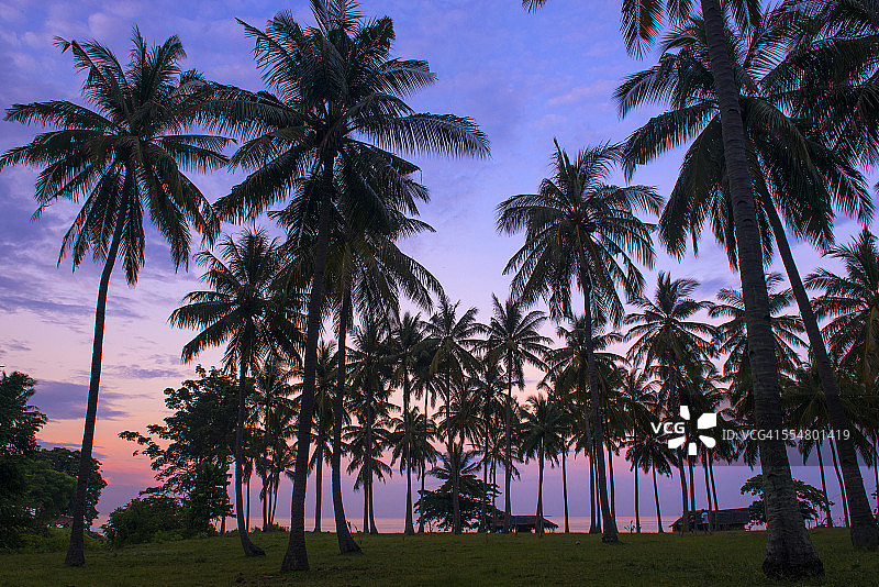 清晨的幸福图片素材
